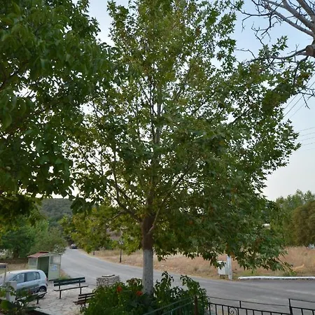 Apartman Domenica House