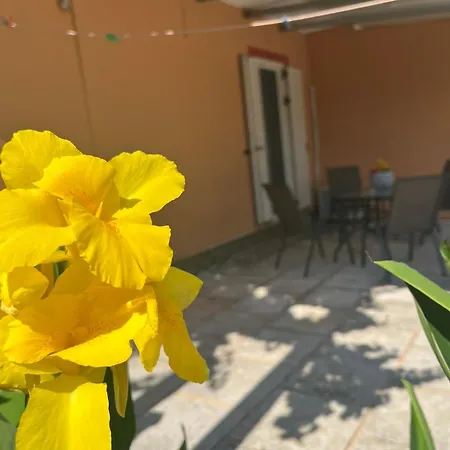 Domenica House Kondaraíni